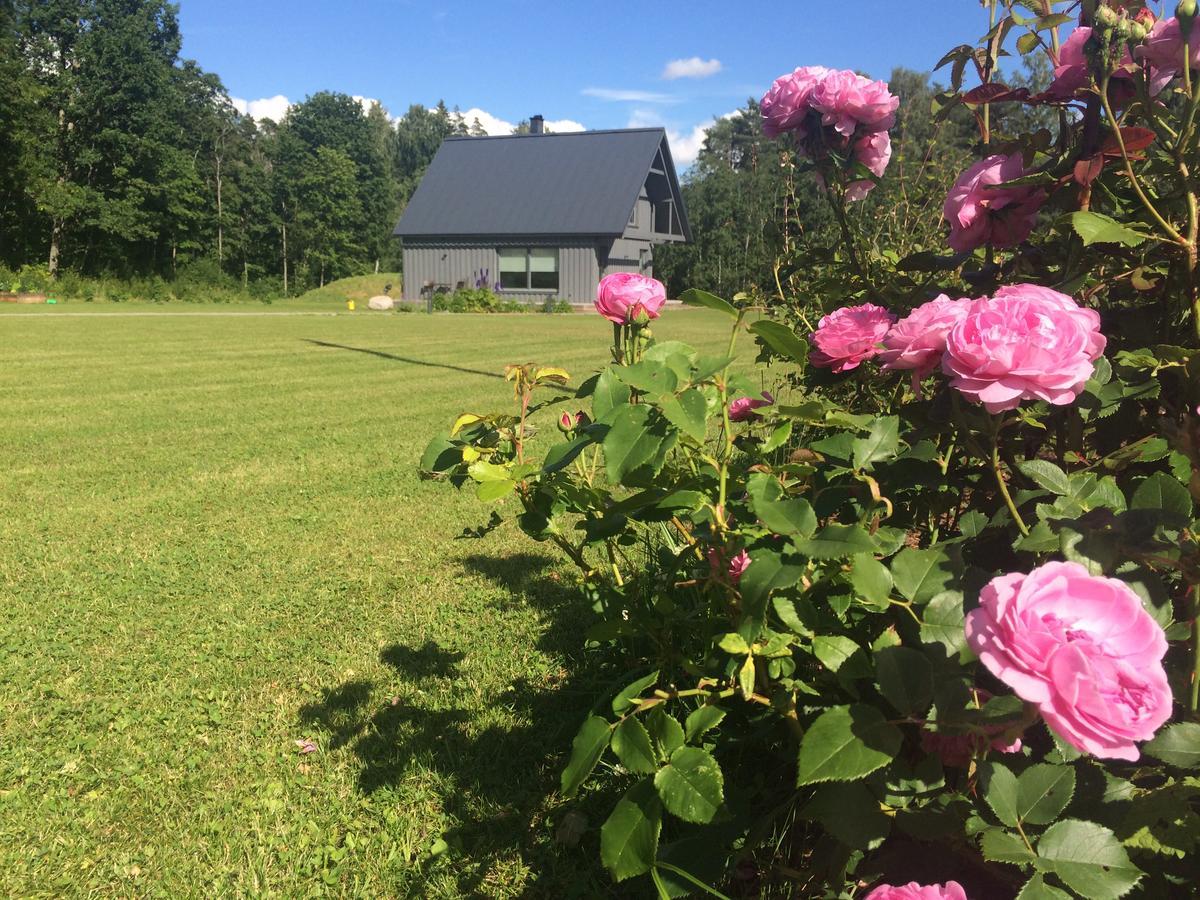 Piesta Riverside Cottage In Soomaa Region Kullimaa Екстер'єр фото